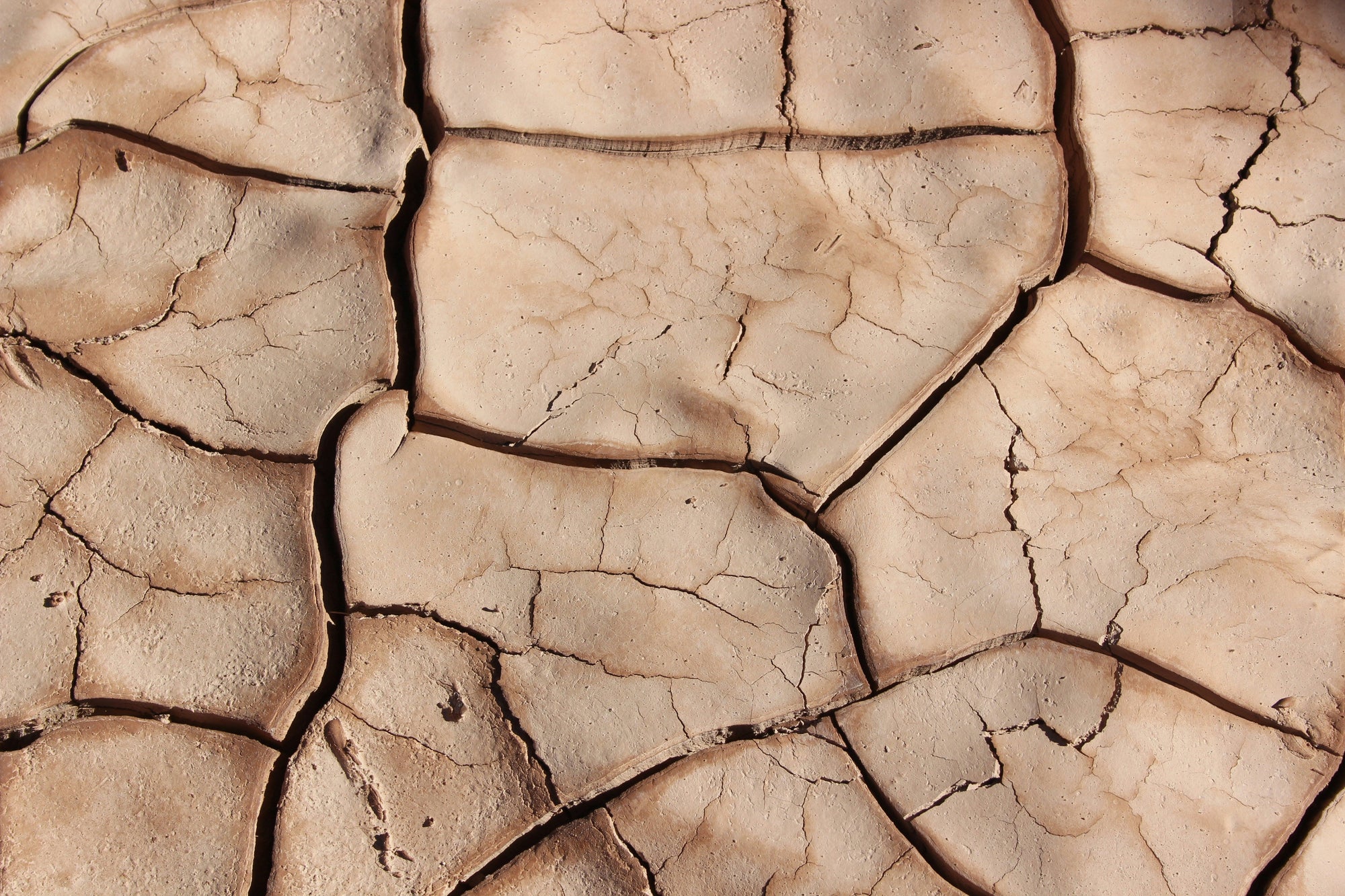 Why Your Skin Looks Dull in Summer — And How to Fix It